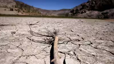 drought resilience dominates final days of unccd talks in riyadh.jpg